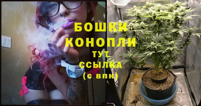 где купить   Борисоглебск  mega ТОР  Шишки марихуана White Widow 